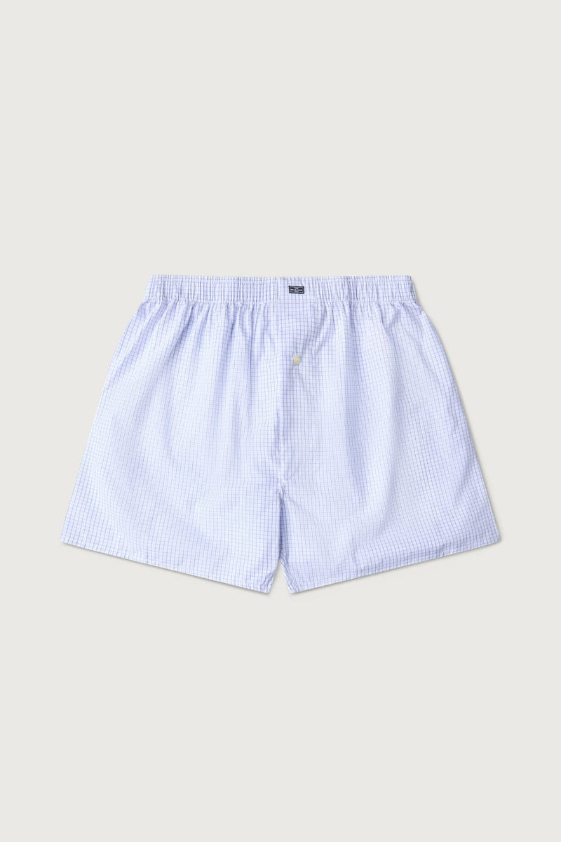 The Boxer Cuadro Celeste Fondo Blanco-zoom-