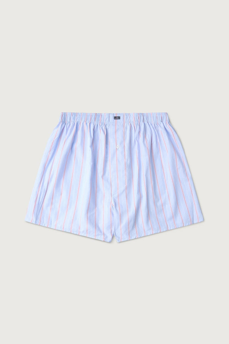 The Boxer Raya Rosa-zoom-
