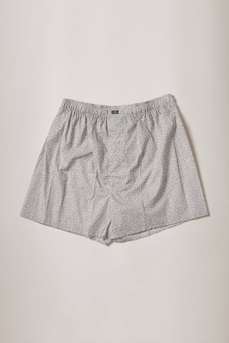 The Boxer Bosque Gris-zoom-