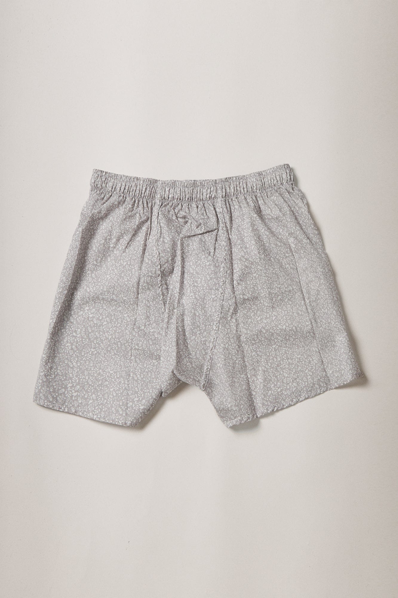 The Boxer Bosque Gris-3