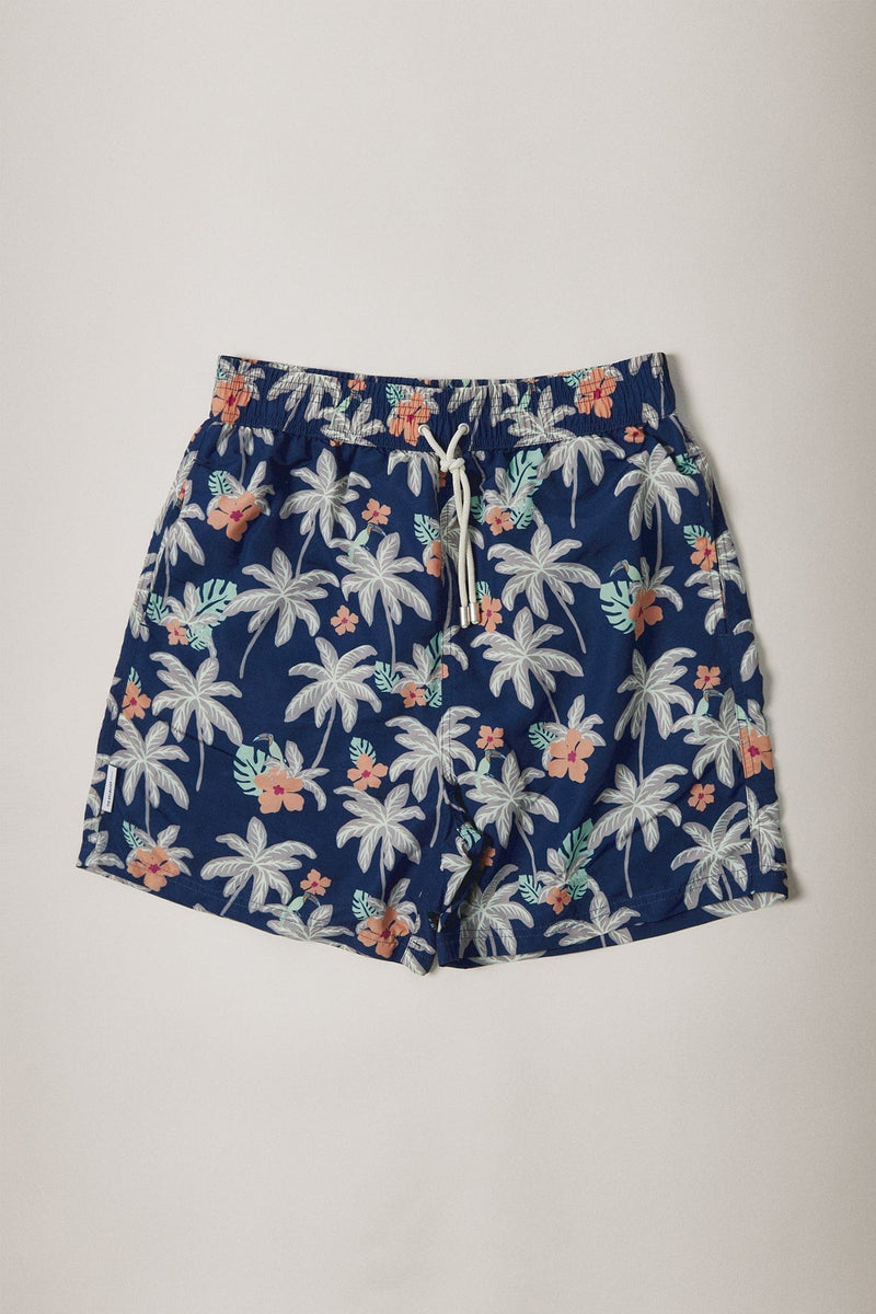 The Swim Palmeras Fondo Azul-zoom-